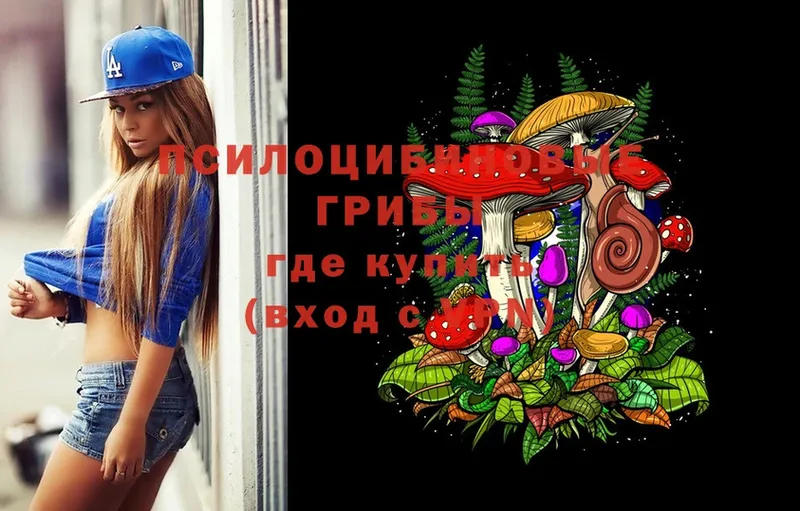 Галлюциногенные грибы Psilocybe  mega ССЫЛКА  Болохово  где купить наркотик 